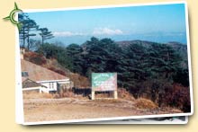 On the Top of Sandakphu